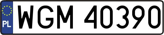 WGM40390