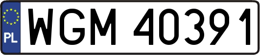 WGM40391