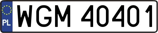 WGM40401