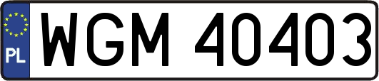 WGM40403