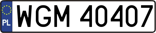 WGM40407