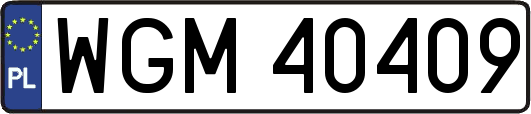 WGM40409
