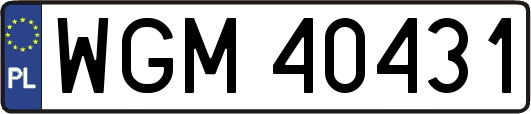 WGM40431