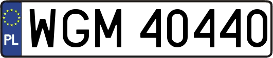 WGM40440