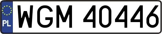 WGM40446