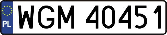 WGM40451