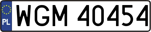 WGM40454