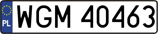 WGM40463