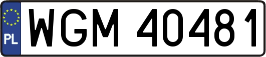 WGM40481