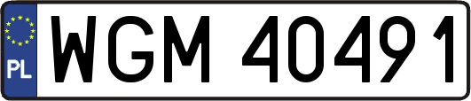 WGM40491