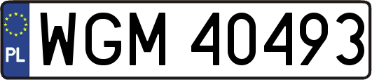 WGM40493