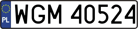 WGM40524