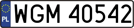 WGM40542