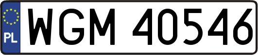 WGM40546
