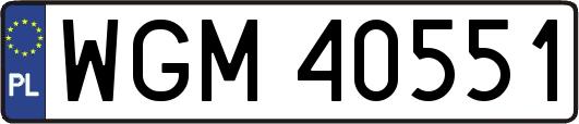 WGM40551