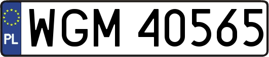 WGM40565