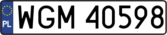 WGM40598