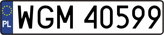 WGM40599