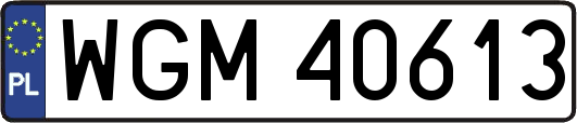 WGM40613