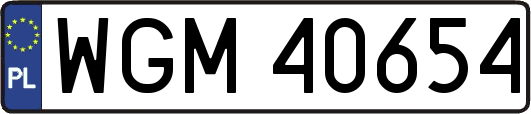 WGM40654