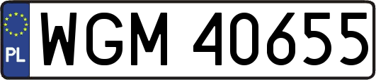 WGM40655