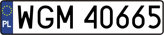 WGM40665