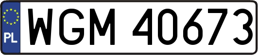 WGM40673