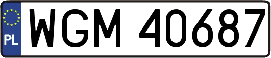 WGM40687