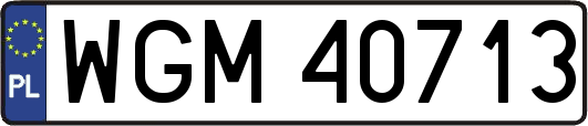 WGM40713
