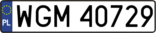 WGM40729