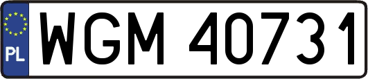 WGM40731