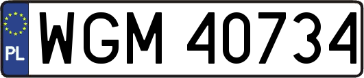 WGM40734