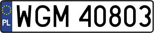 WGM40803