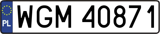WGM40871