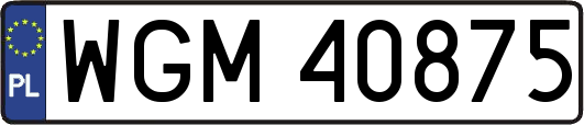 WGM40875