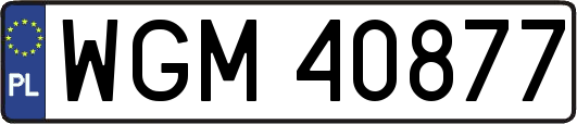 WGM40877