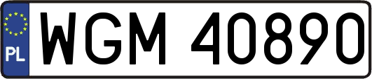 WGM40890
