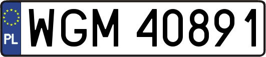WGM40891