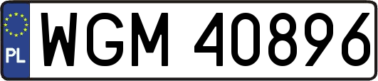 WGM40896