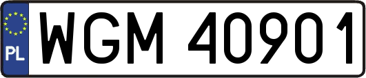WGM40901