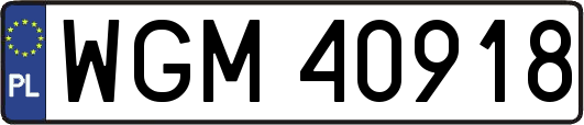 WGM40918