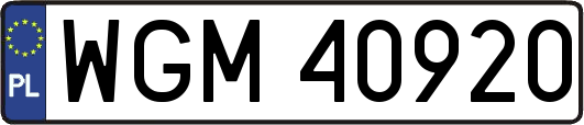 WGM40920