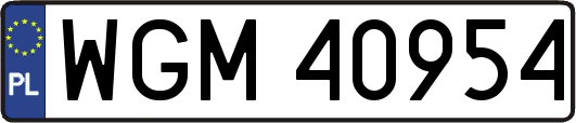 WGM40954