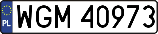WGM40973