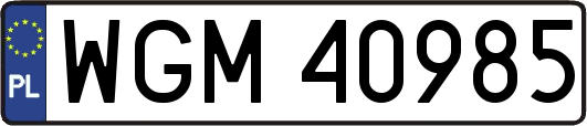 WGM40985
