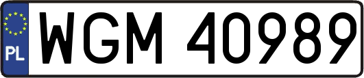 WGM40989