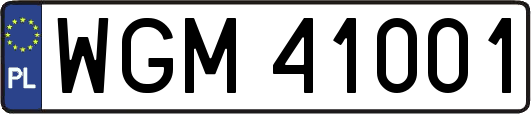 WGM41001