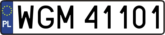 WGM41101