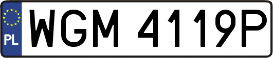 WGM4119P