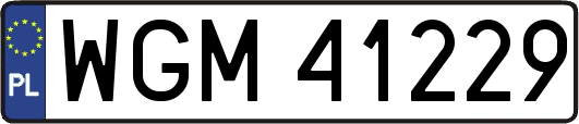 WGM41229